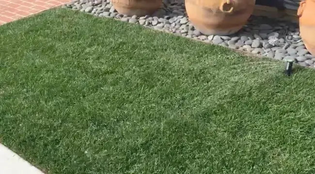 Why Do My Sprinklers Leave Dry Spots (or Overwater)?