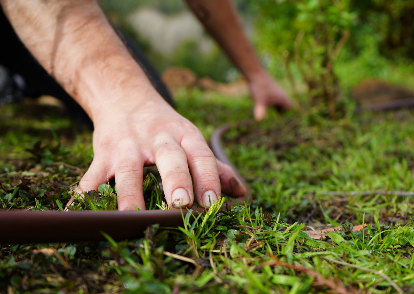 How Do You Become an Irrigation Installer (and What to Charge)?