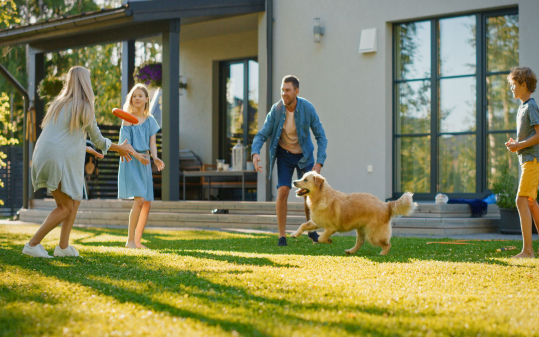 How Should I Water My Lawn in Spring For My Climate?