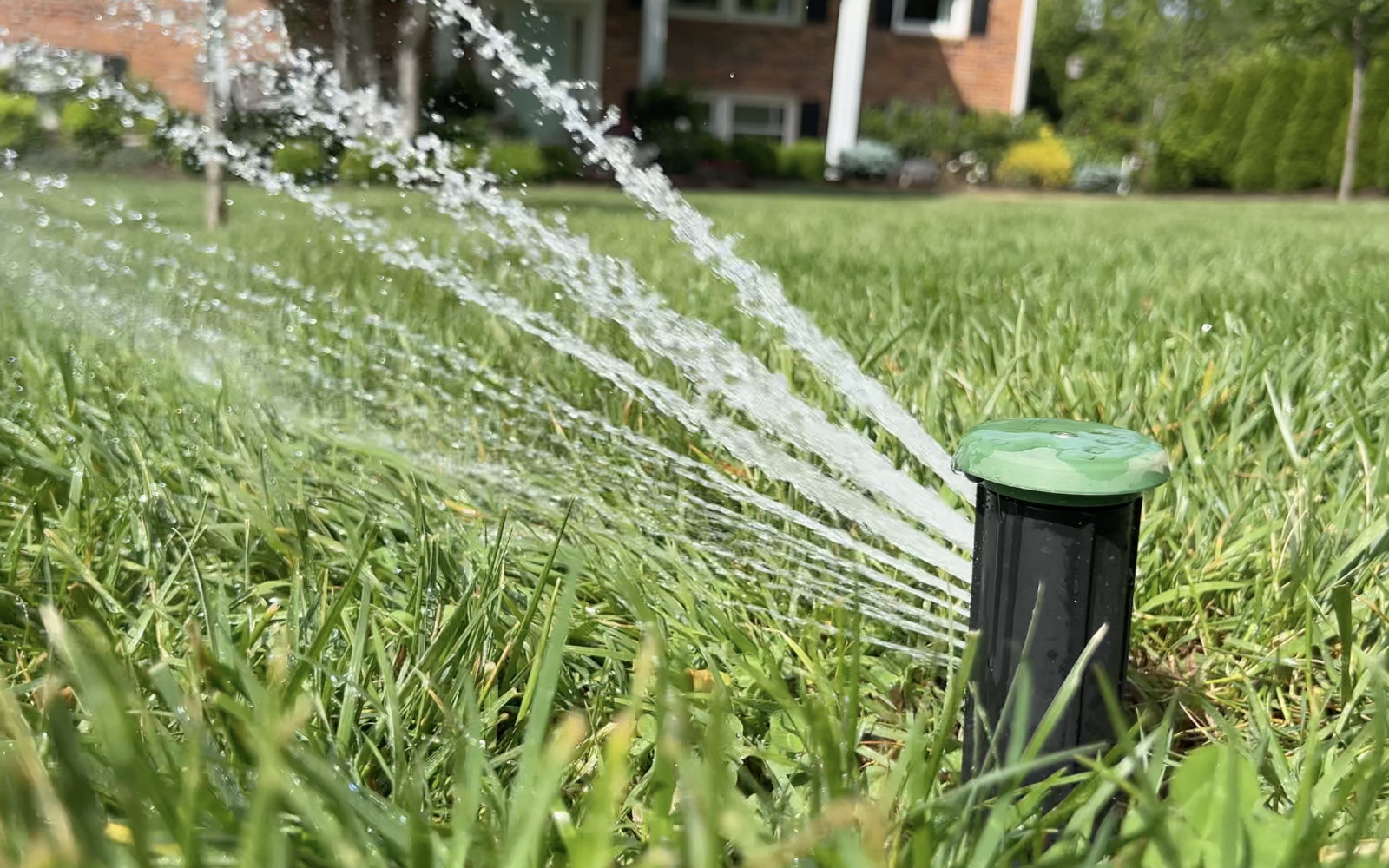 review image of 14-port Irrigreen smart sprinkler head 2 spraying water on lush green grass